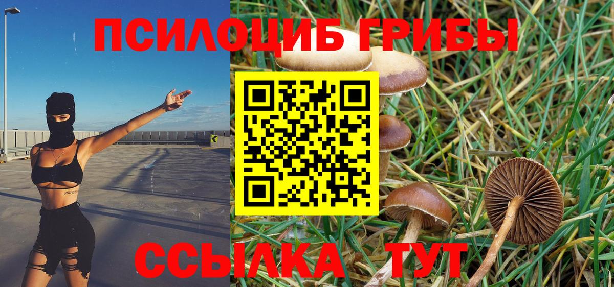 Галлюциногенные грибы MAGIC MUSHROOMS  Вход с VPN  Мариинск 